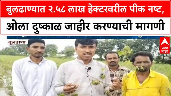 Buldhana Crop Damage | बुलढाणा जिल्ह्यात २.५८ लाख हेक्टरवरील पीक नष्ट, शेतकरी संकटात