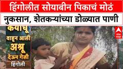 Maharashtra Floods | हिंगोलीत सोयाबीन पिकाचं मोठं नुकसान, शेतकऱ्यांच्या डोळ्यात पाणी