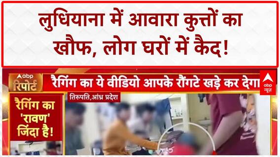 Stray Dog Attack: Ludhiana में कुत्तों का आतंक, 2 दिन में 20+ लोग शिकार!