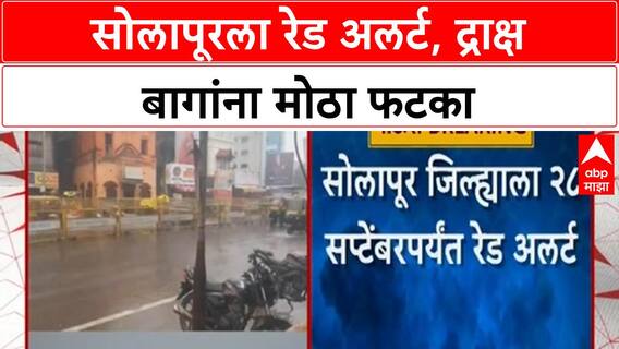 Maharashtra Rain Alert | सोलापूरला २८ सप्टेंबरपर्यंत Red Alert, द्राक्ष बागांचे मोठे नुकसान