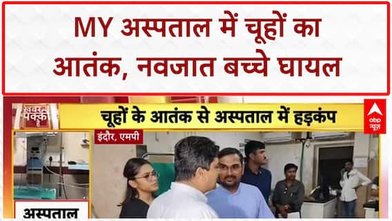 Newborn Rat Bite: MY Hospital में नवजात बच्चों को चूहों ने काटा, मचा बवाल