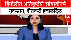 Hingoli Soyabean Loss : हिंगोलीत मुसळधार पाऊस, कापणीपूर्वीच सोयाबीनला मोड फुटायला सुरुवात ABP Majha