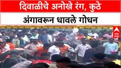 Diwali Traditions: 'वर्षभराच्या पापांचं प्रायश्चित्त', Bhandara मध्ये गावकऱ्याच्या अंगावरून धावली गोधनाची फौज