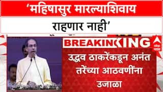 Maharashtra Politics: 'दिवाळीत Mahishasur मारल्याशिवाय राहणार नाही', Thackeray यांचा थेट इशारा