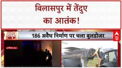 Leopard Sighting: Bilaspur में 'तेंदुए' की दहशत, वन विभाग की तलाश जारी