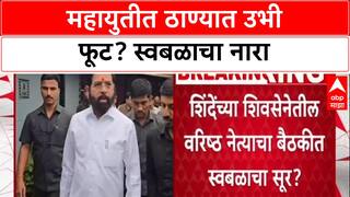 Naresh Mhaske : स्थानिक स्वराज्य संस्था निवडणुकीत शिंदेंच्या शिवसेनेत स्वबळाचे वारे?