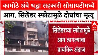 Navi Mumbai Fire: कामोठेमध्ये सिलेंडरचा स्फोट, घरात झोपलेल्या माय-लेकीचा होरपळून दुर्दैवी मृत्यू!