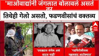 Mavovadi Action Mode: 'माओवाद्यांनी जंगलात बोलावलं असतं तर तिथेही गेलो असतो, फडणवीसांचं वक्तव्य