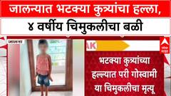 Stray Dog Menace: 'भटक्या कुत्र्यांनी चावा घेतला', Jalna मध्ये 4 वर्षीय Pari Goswami चा मृत्यू