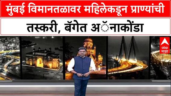 Wildlife Smuggling: मुंबई विमानतळावर सापांचा सुळसुळाट, महिलेच्या बॅगेत सापडले 4 Anaconda, Zareen Shaikh ला अटक