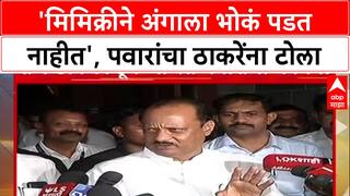 Pawar vs Thackeray: 'माझ्या अंगावर भोकं पडत नाहीत', Ajit Pawar यांची Raj Thackeray यांच्या मिमिक्रीवर टीका