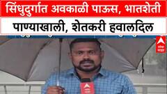 Sindhudurg Rains: 'भात उत्पादक शेतकरी हवालदिल', सिंधुदुर्गात कापलेलं पीक पाण्याखाली