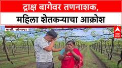 Farmer Distress: 'आम्ही काय करायचे? मरावं का?', अज्ञाताने द्राक्ष बाग उध्वस्त केल्याने महिला शेतकऱ्याचा टाहो