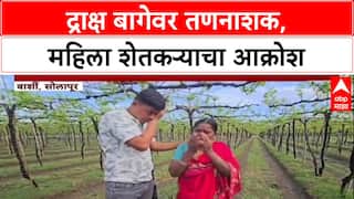 Farmer Distress: 'आम्ही काय करायचे? मरावं का?', अज्ञाताने द्राक्ष बाग उध्वस्त केल्याने महिला शेतकऱ्याचा टाहो