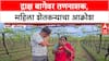 Farmer Distress: 'आम्ही काय करायचे? मरावं का?', अज्ञाताने द्राक्ष बाग उध्वस्त केल्याने महिला शेतकऱ्याचा टाहो