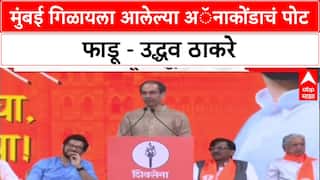 Thackeray vs Shah: 'मुंबई गिळायला आलेल्या Anaconda चं पोट फाडून बाहेर येऊ', उद्धव ठाकरेंचा अमित शहांवर घणाघात