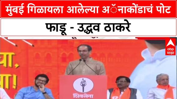 Thackeray vs Shah: 'मुंबई गिळायला आलेल्या Anaconda चं पोट फाडून बाहेर येऊ', उद्धव ठाकरेंचा अमित शहांवर घणाघात