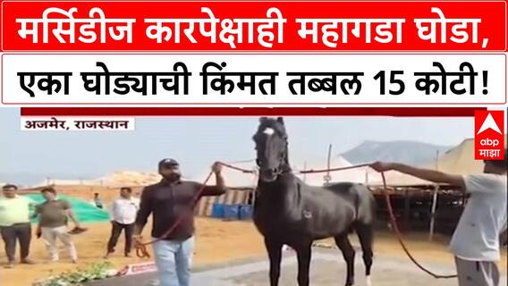 Pushkar Mela 2025 Horse Fair मर्सिडीज कारपेक्षाही महागडा घोडा, एका घोड्याची किंमत तब्बल 15 कोटी!