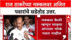 Maharashtra Politics: 'मिमिक्री करणारे करत राहतील, मी काम करत राहीन', राज ठाकरेंच्या नक्कलवर अजित पवारांचे प्रत्युत्तर.