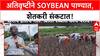 Maharashtra Crop Loss | गुडघाभर पाण्यातून Soybean काढताना शेतकरी; रब्बी हंगामाची चिंता