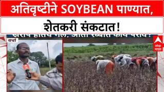 Maharashtra Crop Loss | गुडघाभर पाण्यातून Soybean काढताना शेतकरी; रब्बी हंगामाची चिंता