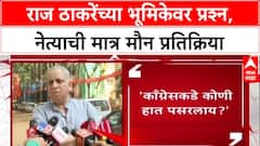 MNS On Mahayuti : राज ठाकरेंच्या भूमिकेवर प्रश्न, नेत्याची मात्र मौन प्रतिक्रिया