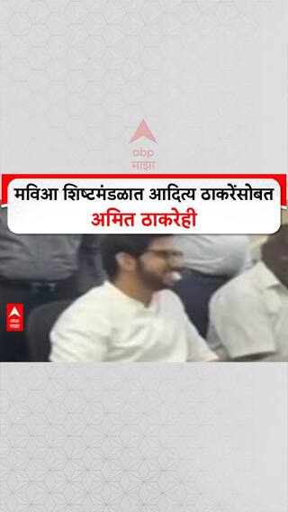 Thackerya Union : मविआ शिष्टमंडळात आदित्य ठाकरेंसोबत अमित ठाकरेही