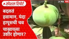 Konkan Mango : बदलतं हवामान, यंदा हापूसची चव चाखायला उशीर होणार? Special Report