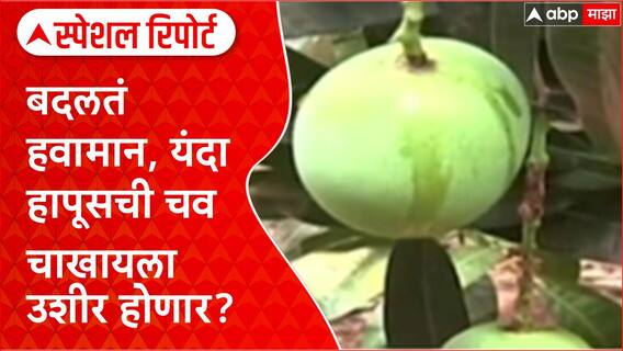 Konkan Mango : बदलतं हवामान, यंदा हापूसची चव चाखायला उशीर होणार? Special Report