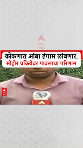 Mango Season Delay |कोकणात आंबा हंगाम लांबणार, मोहोर प्रक्रियेवर पावसाचा परिणाम