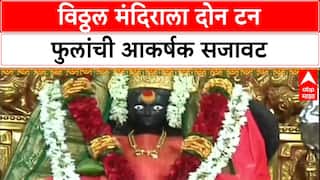 Diwali Temple : विठ्ठल मंदिराला 2 टन फुलांची सजावट, शिर्डी-कोल्हापुरातही भाविकांची अलोट गर्दी