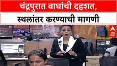 Human-Tiger Conflict: 'वाघ इतरत्र पाठवा', Devendra Fadnavis यांच्या काकू Shobha Fadnavis यांची मागणी