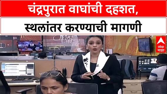 Human-Tiger Conflict: 'वाघ इतरत्र पाठवा', Devendra Fadnavis यांच्या काकू Shobha Fadnavis यांची मागणी