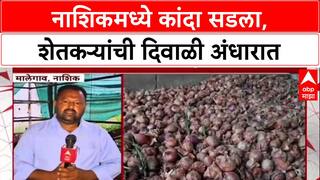 Onion Crisis: 'सरकार मायबाप सरकार, मदत करा', Nashik मधील कांदा उत्पादक शेतकऱ्याची आर्त हाक