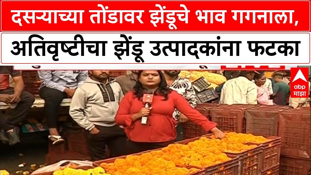 Shocking Loss for Zendu Farmers! Prices Skyrocket Before Dussehra 2024 Due to Heavy Rains
