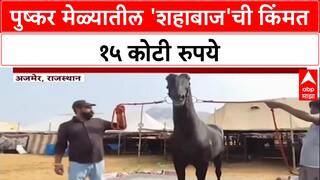 Horse Worth ₹15 crore: 'Shahbaz' नावाच्या घोड्याची किंमत १५ कोटी, Pushkar मेळ्यातील प्रमुख आकर्षण