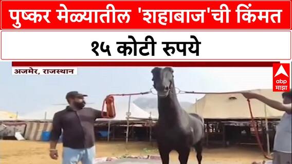 Horse Worth ₹15 crore: 'Shahbaz' नावाच्या घोड्याची किंमत १५ कोटी, Pushkar मेळ्यातील प्रमुख आकर्षण