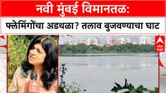Navi Mumbai Airport: विमानसेवेसाठी हजारो फ्लेमिंगोंचा अधिवास धोक्यात? तलाव बुजवण्याच्या तयारीत