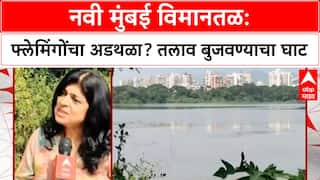 Navi Mumbai Airport: विमानसेवेसाठी हजारो फ्लेमिंगोंचा अधिवास धोक्यात? तलाव बुजवण्याच्या तयारीत