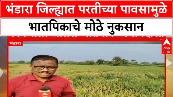 Heavy Rain Crop Loss | भंडारा जिल्ह्यात भातपिकाचे मोठे नुकसान, शेतकरी हवालदिल