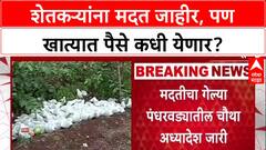 Farmer Distress: मराठवाड्यातील शेतकऱ्यांसाठी ३४६ कोटी मंजूर, पण मदत Diwali नंतरच मिळण्याची शक्यता?
