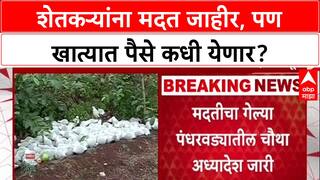 Farmer Distress: मराठवाड्यातील शेतकऱ्यांसाठी ३४६ कोटी मंजूर, पण मदत Diwali नंतरच मिळण्याची शक्यता?