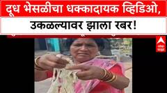 Dhule Milk Adulteration: दूध भेसळीचा धक्कादायक व्हिडिओ, उकळल्यावर झाला रबर!