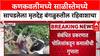 Sindhudurg Crime : कणकवलीमध्ये साळीस्तेमध्ये सापडलेला मृतदेह बंगळुरुतील रहिवाशाचा