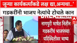 Nitin Gadkari : जुन्या कार्यकर्त्यांकडे लक्ष द्या,अन्यथा..' गडकरींनी भाजप नेत्यांचे टोचले कान