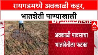 Unseasonal Rains: 'तोंडी आलेला घास हिरावला', Raigad मधील भात उत्पादक शेतकरी संकटात, सरकारकडे मदतीची मागणी