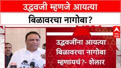 War of Words: '...तुम्ही आयत्या बिळावरचे नागोबा', Ashish Shelar यांचा Uddhav Thackeray यांच्यावर थेट हल्ला!