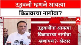 War of Words: '...तुम्ही आयत्या बिळावरचे नागोबा', Ashish Shelar यांचा Uddhav Thackeray यांच्यावर थेट हल्ला!