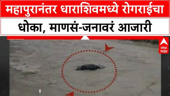 Dharashiv Special Report : महापुरानंतर धाराशिवमध्ये रोगराईचा धोका, माणसं-जनावरं आजारी