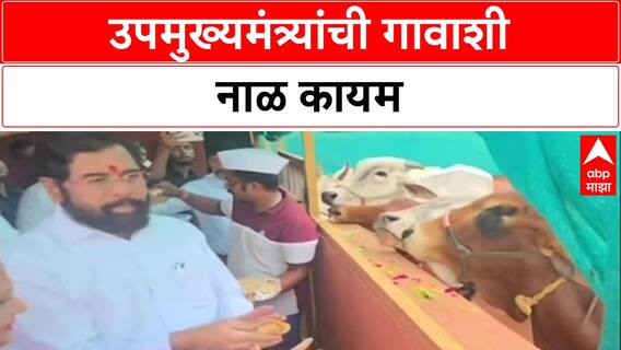 Diwali Celebration: 'उपमुख्यमंत्री' Eknath Shinde आपल्या दरेगावमध्ये, सहकुटुंब साजरी केली वसुबारस!